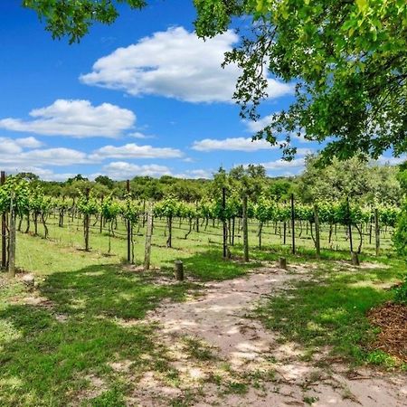 Hamilton Pool Vineyards & Farms Villa Hammetts Crossing Exterior photo