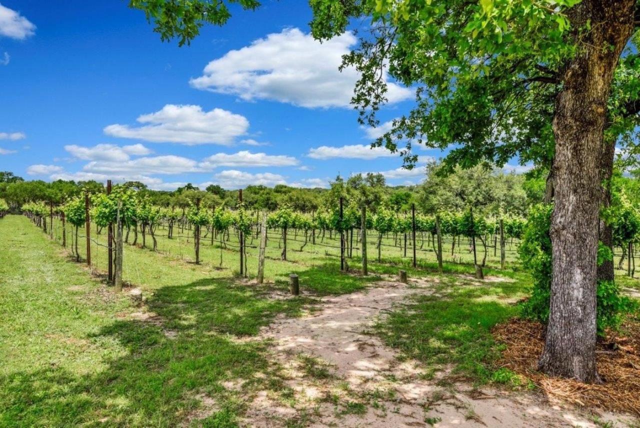 Hamilton Pool Vineyards & Farms Villa Hammetts Crossing Exterior photo